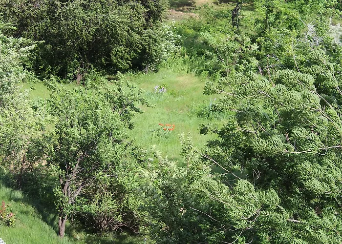 Apartment Greenwood Odesa